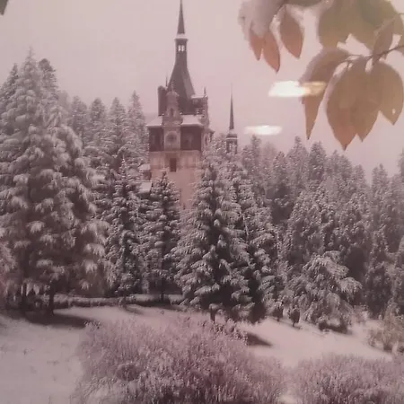 Apartman Apartament Colina Florilor Sinaia